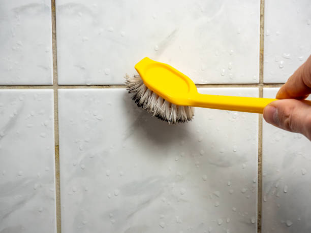 Trusted Nottingham, PA Mold Removal Experts