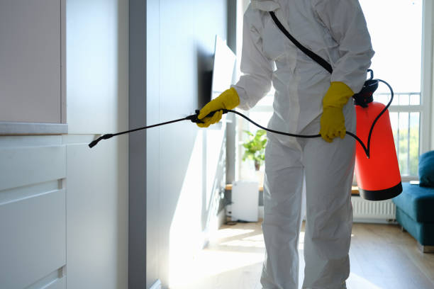 Best Mold Removal Specialists  in Nottingham, PA